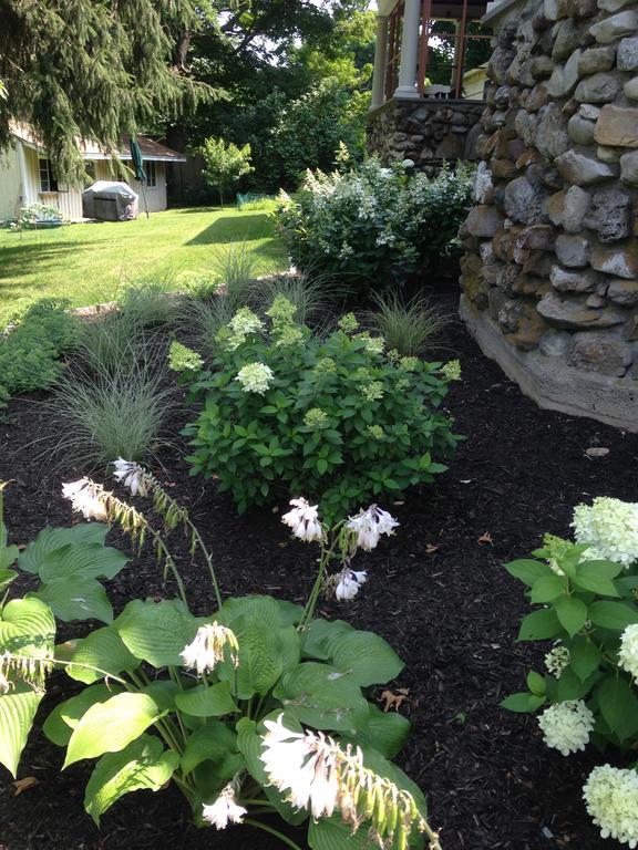 Hilltop House Bed & Breakfast Amenia Esterno foto