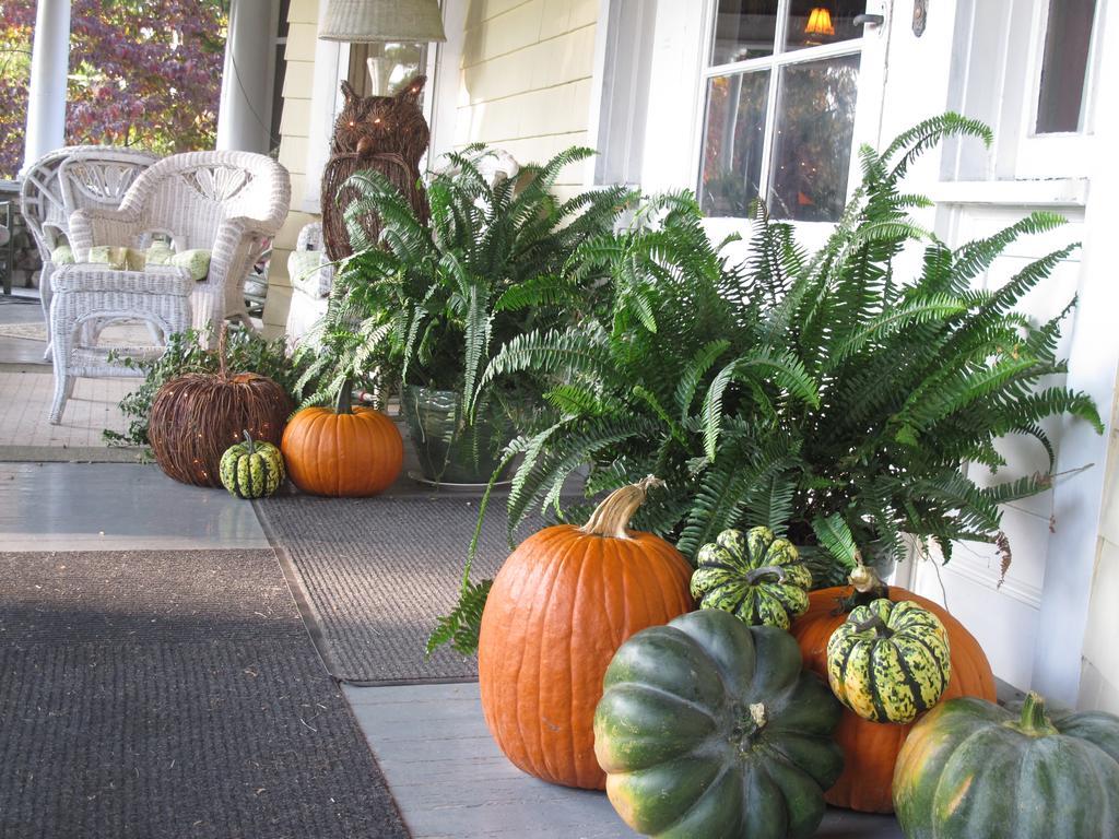 Hilltop House Bed & Breakfast Amenia Esterno foto